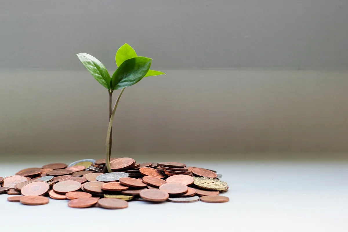 10 conseils pratiques pour arrondir vos fins de mois